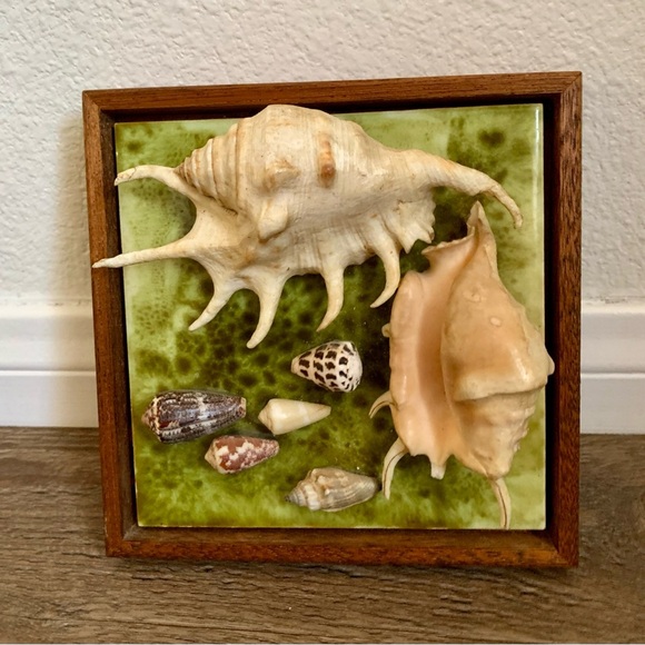 Framed Oceanside Wall Decor Seashell - Picture 1 of 10